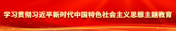 玩弄穴视学习贯彻习近平新时代中国特色社会主义思想主题教育